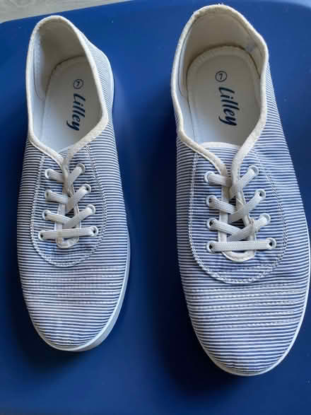 Photo of free Ladies canvas shoes size 7 (Basingstoke Golf Club RG23) #1