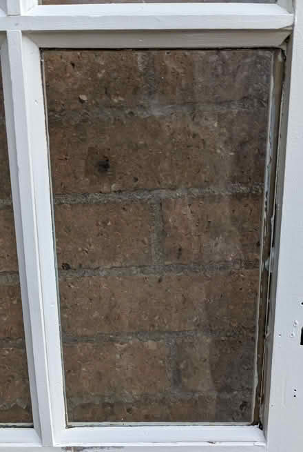 Photo of free Internal Solid Wood Glazed Door 197cm x 76cm (Lipson PL4) #2