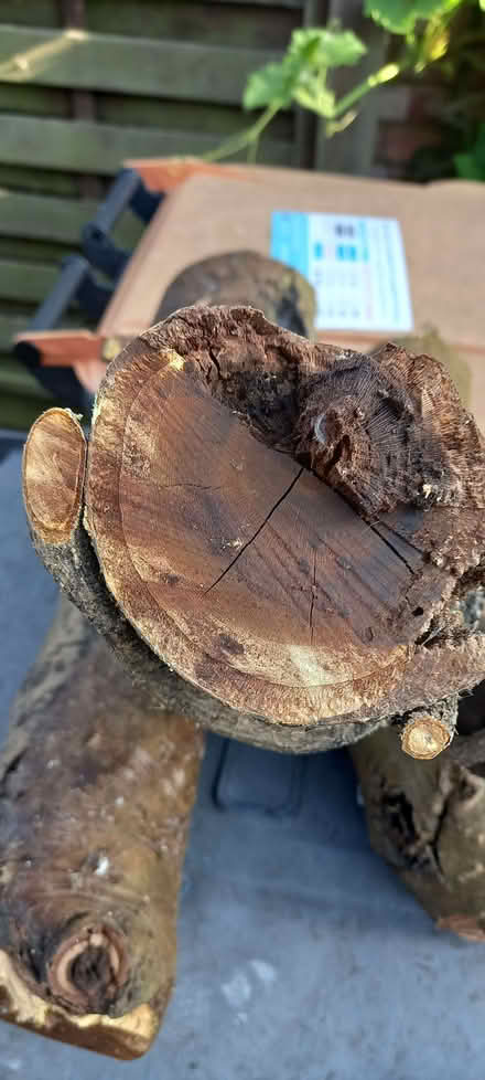 Photo of free Laburnum wood - maybe good for woodturning projects (Goldington MK41) #4