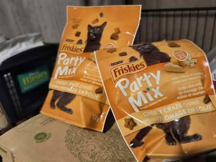Photo of free Cat food and treats (chicopee) #1