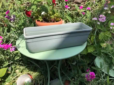Photo of free Small plasticplant trough (Corsham SN13) #1