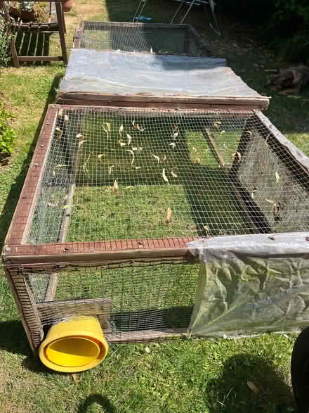 Photo of free A very old, almost, but not quite, decrepit chicken run. (Malvern Link WR14) #3