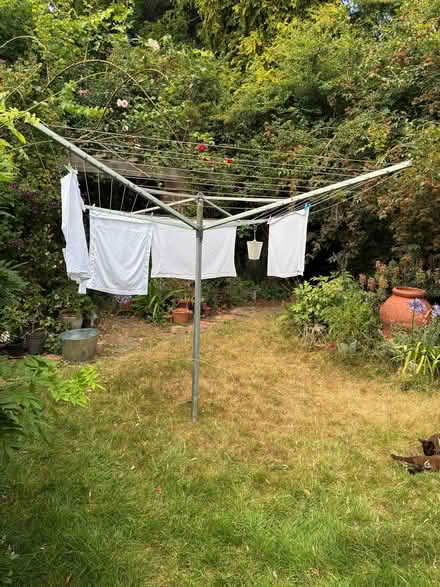 Photo of free Washing line (Faversham ME13) #1