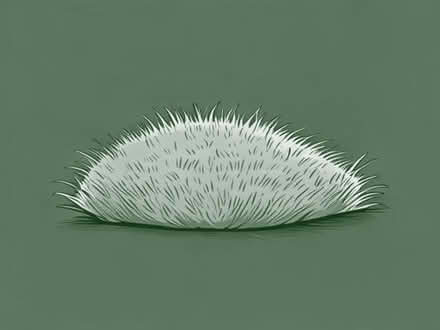 Photo of Atificial grass (Warbreck FY1) #1