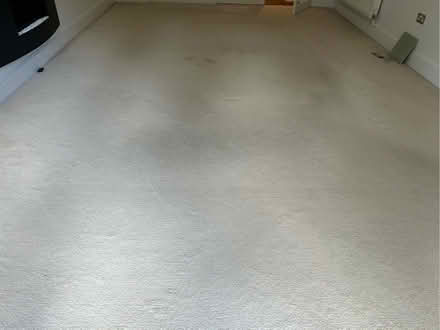 Photo of free Large cream lounge carpet (Ecclesall S11) #1