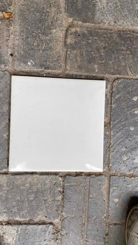 Photo of free White tiles - shiny (Perry Vale SE23) #1