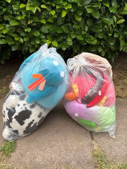 Photo of free Soft toys (Sevenoaks TN13) #3