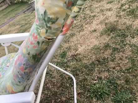 Photo of free Pair of sun, garden recliners (Greater Leys OX4) #4