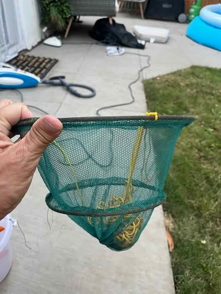 Photo of free Crabbing bucket and net (Twickenham TW1) #2
