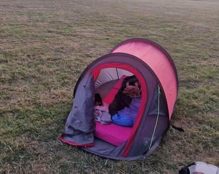 Photo of free Pop-up tent (Lewisham SE13) #3