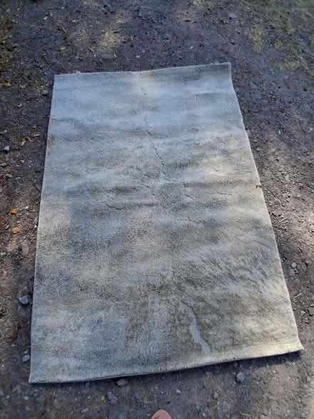 Photo of free Floor rug (11 km west of Cork City) #2