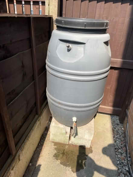 Photo of free Water Butt / Barrel (Reddish (SK5)) #1