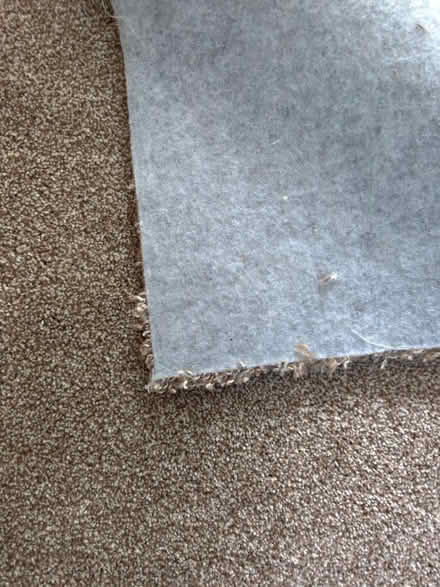 Photo of free Carpet off-cut (new) (Brentwood CM15) #3