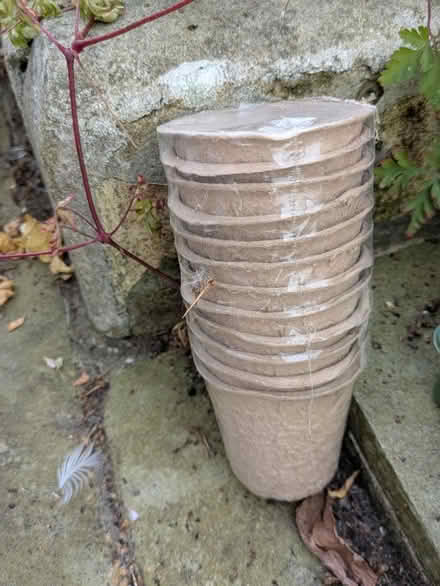 Photo of free Cardboard seedling pots (Brighton BN2) #1