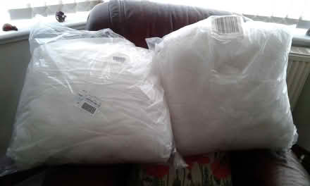 Photo of free Two Large Cushions 20" x 20" ( New ) (St Blazey Gate PL24) #1