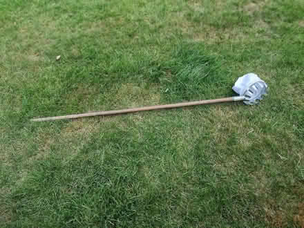 Photo of free fruit picker (Allesley Park CV5) #1
