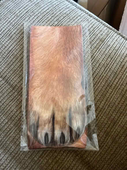 Photo of free New Animal Paw Socks (South Keys) #1