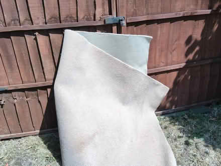 Photo of free Off cut of carpet (Clent) #1