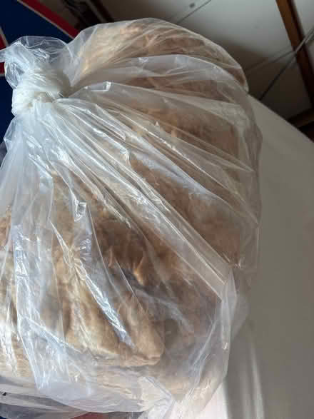 Photo of free Insulation (Hala LA1) #1