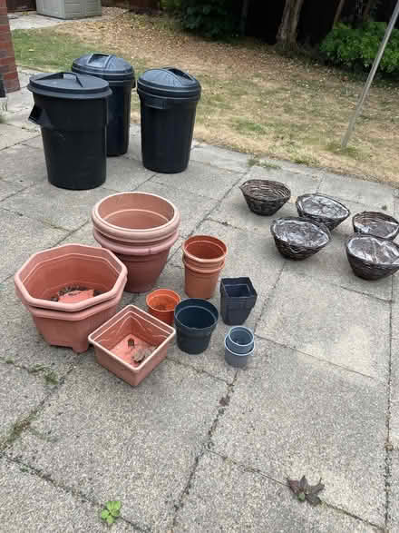 Photo of free Garden clearance (Willen Park MK15) #1