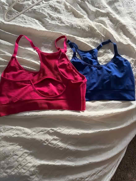 Photo of free 2 sports bra XL (Park street st albans AL2) #1
