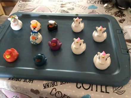 Photo of free Novelty Ducks (New Balderton) #1