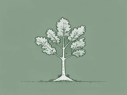 Photo of free Oak saplings (Shap CA10) #1