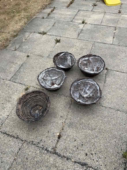 Photo of free Garden clearance (Willen Park MK15) #4