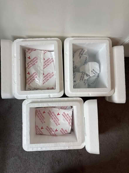 Photo of free Styrofoam Coolers (King of Prussia) #2