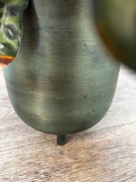 Photo of free 2 house plants in pots (Stobhill NE61) #2