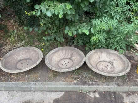 Photo of free Concrete Planters (Oxford OX2) #1