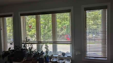 Photo of free Blinds faux wood Maple color (Vanier 32 Dunbarton court) #4