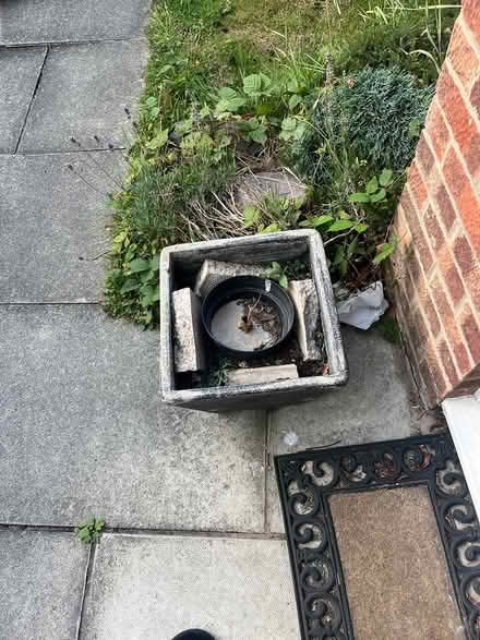 Photo of free Pots (Stockport) #1