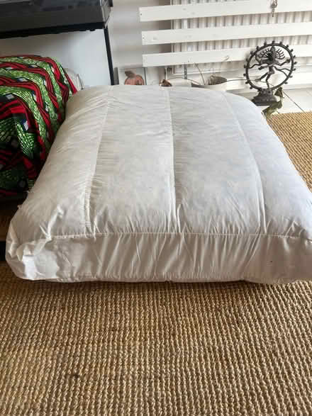 Photo of free Huge duck filled cushions (Bow E3) #1
