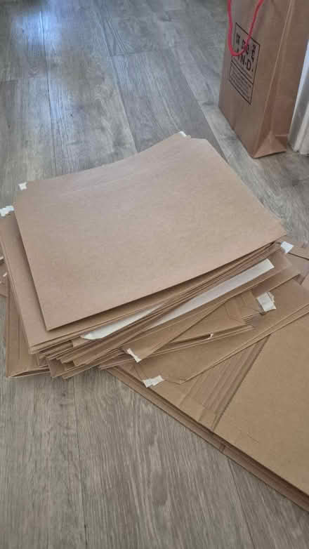 Photo of free C4 cardboard envelopes (Downham BR1) #1