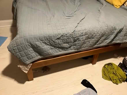 Photo of free Bed and Mattress (Rogers Park) #2