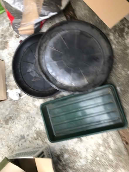 Photo of free Large plastic flower trays (Shepherds Bush W12) #1