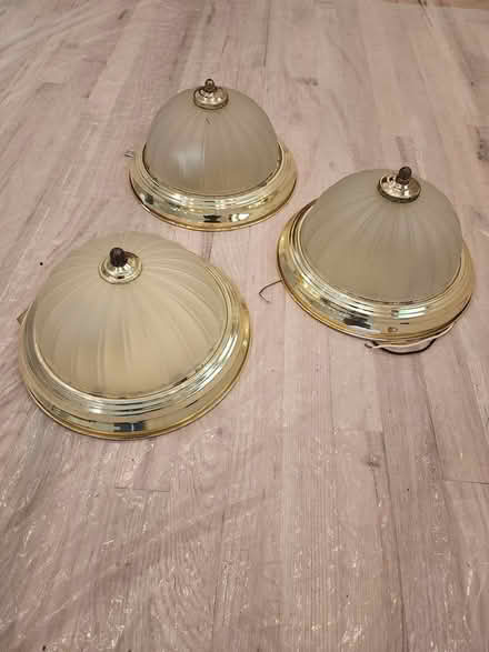 Photo of free Ceiling lights (3) (Reford township) #1