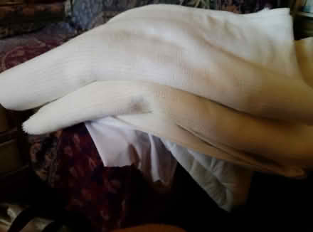 Photo of free blankets and mattress protectoror (Meadowbank (Ryde)) #1