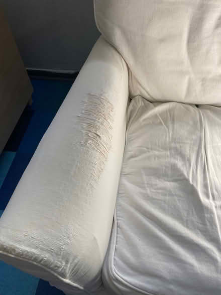 Photo of free Crate & Barrel upholstered chair (West Seattle near High Point) #3