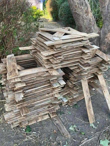 Photo of free Old dry wood (Kingston upon Thames, KT1) #1
