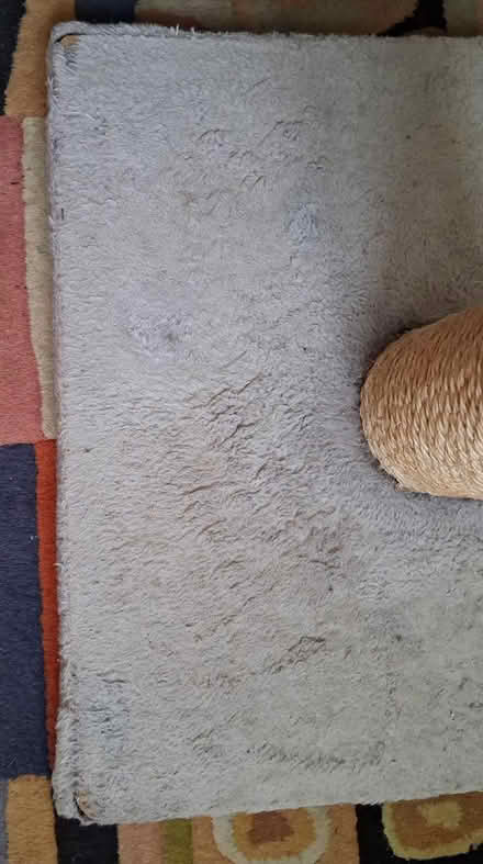 Photo of free Cat scratching post (Northfields, Ealing W5) #1