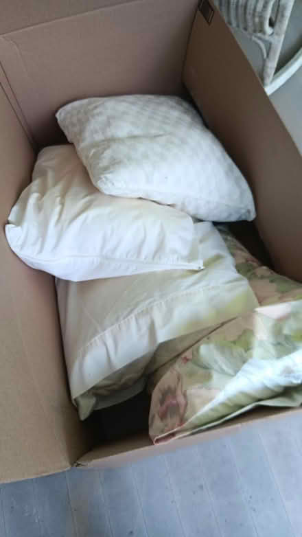 Photo of free Pillows (19095) #2