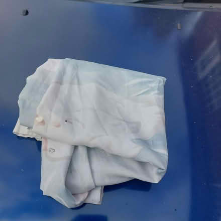 Photo of free Shower Curtain (SY13 Whitchurch) #1