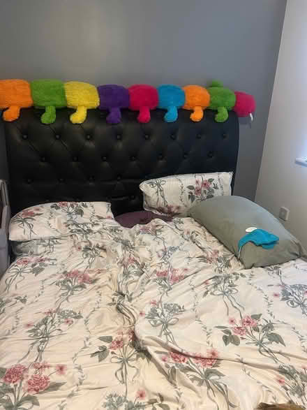 Photo of free King size bed & matress (Island village EN3) #1