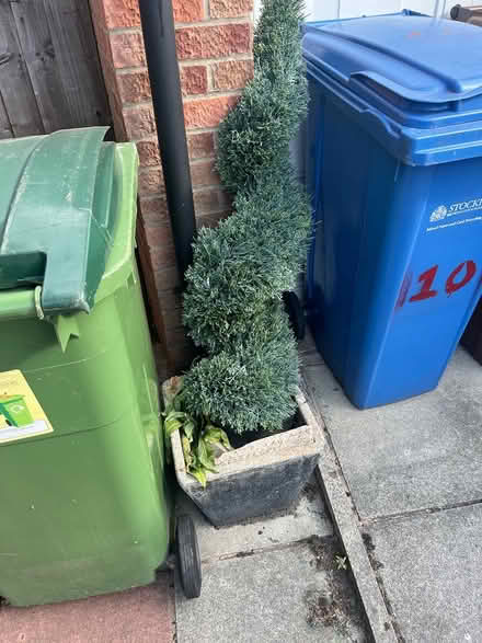 Photo of free Pots (Stockport) #2