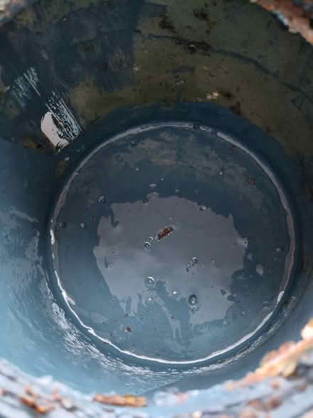 Photo of free Farrow and Ball Hague blue paint (Newburn NE15) #2