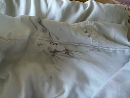 Photo of free King size duvet 13.5 tog and 2 pillows (Knaresborough HG5) #3