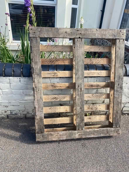 Photo of free Wooden pallet (Blacklands TN34) #1