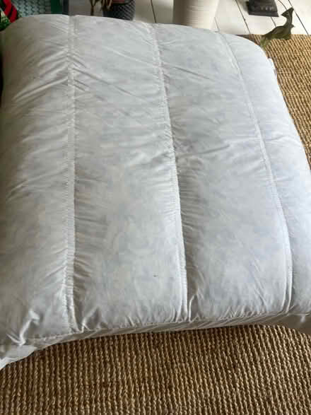 Photo of free Huge duck filled cushions (Bow E3) #2
